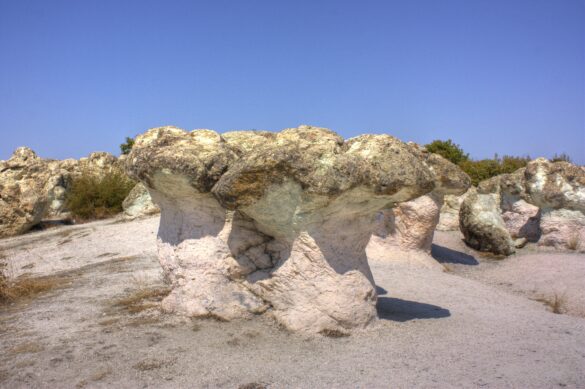 Funghi di Pietra