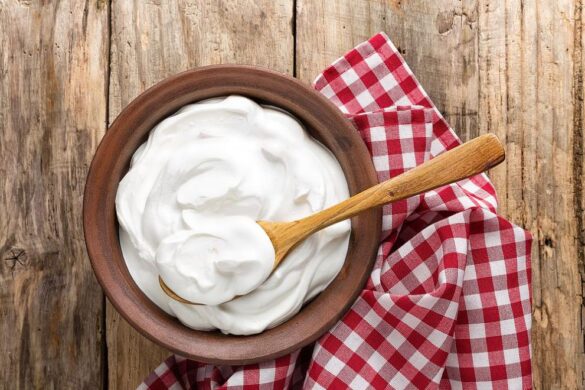 Yogurt Bulgaro