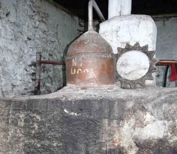 Rakia