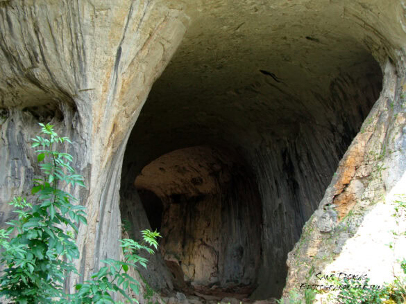 Grotta Prohodna